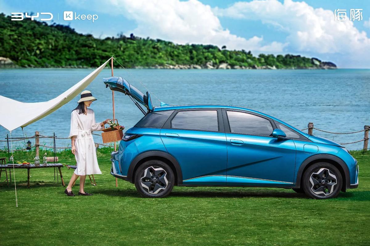 比亞迪海豚 純電轎車(chē)領(lǐng)域的創(chuàng)新先鋒與新能源汽車(chē)電附件的完美融合